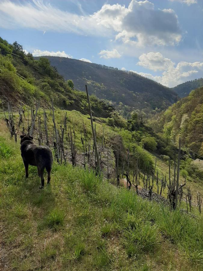 Alkener Elfenhaus Mit Kostenlosen Gaeste Ticket Bagian luar foto